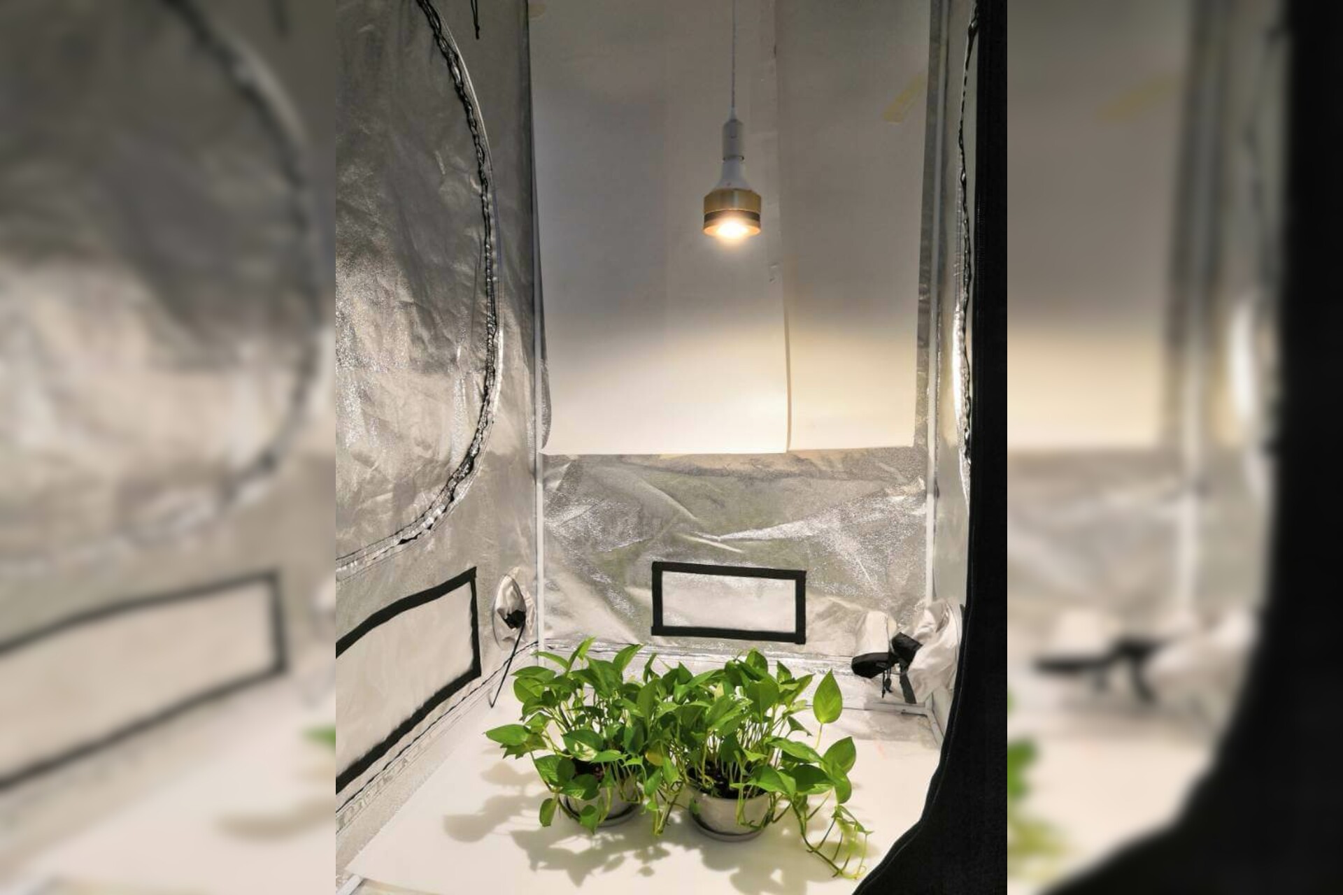Sunny E27 Grow LED-Pflanzenlicht
