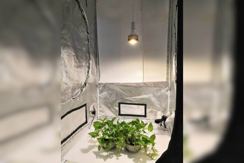 Sunny E27 Grow LED-Pflanzenlicht