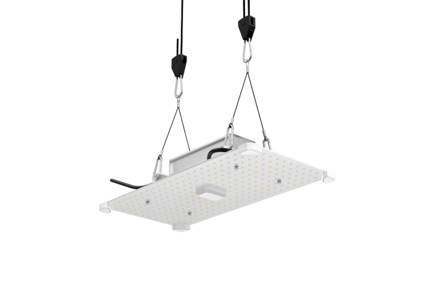 LUMii Black Wachstum LED-Pflanzenlampe - 100W