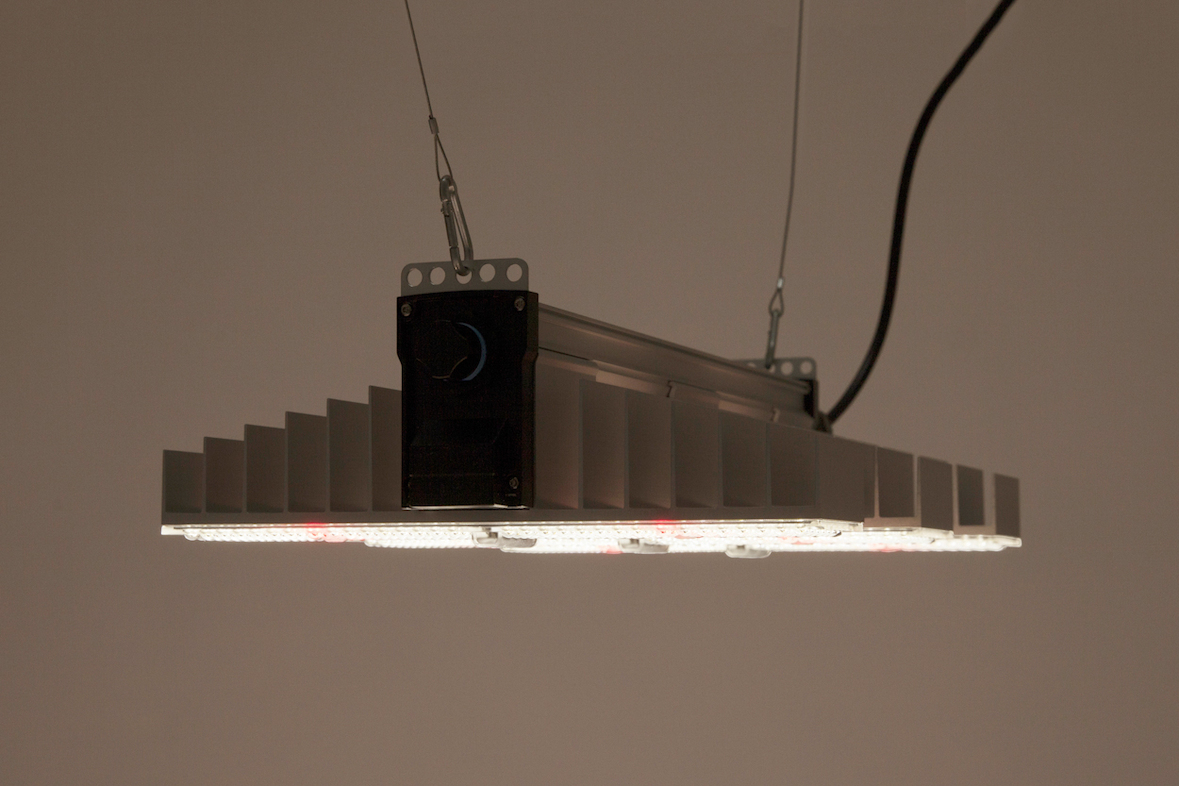 SANlight 1.5 Vollspektrum LED