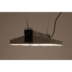 SANlight 1.5 Vollspektrum LED