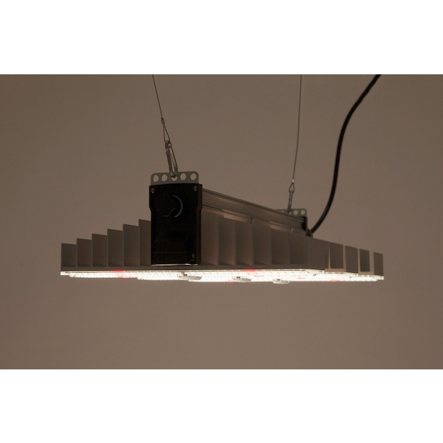SANlight 1.5 Vollspektrum LED