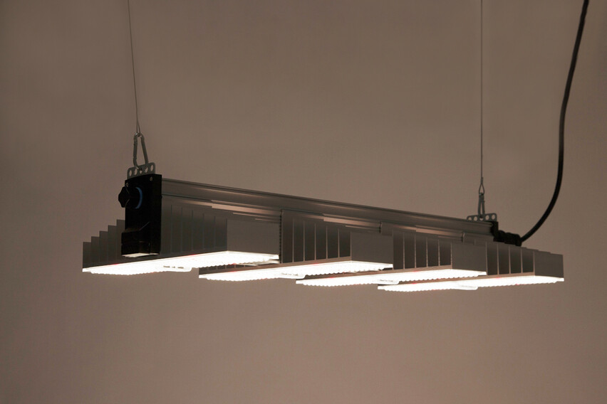 SANlight EVO 4-80 250W Vollspektrum