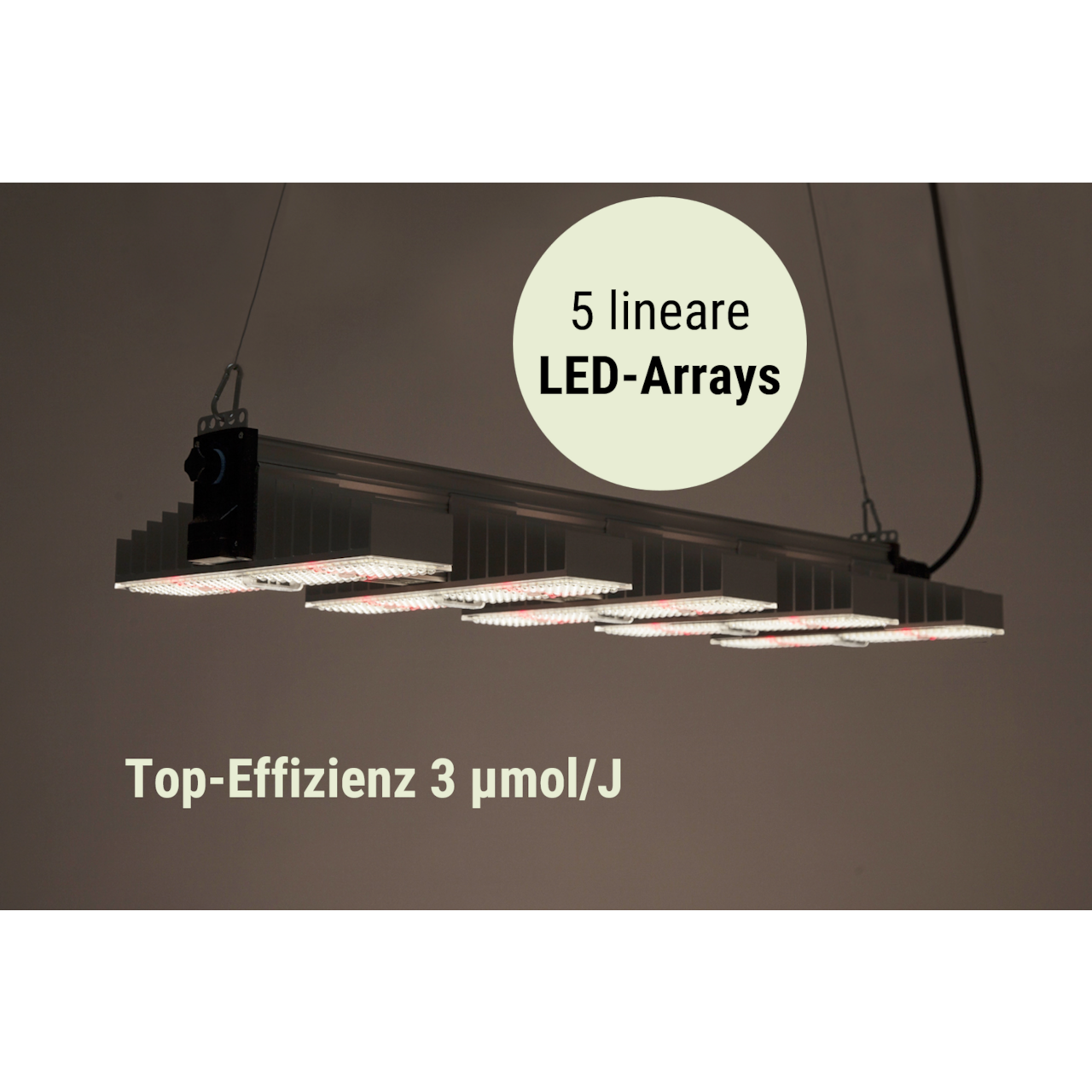SANlight 1.5 Vollspektrum LED