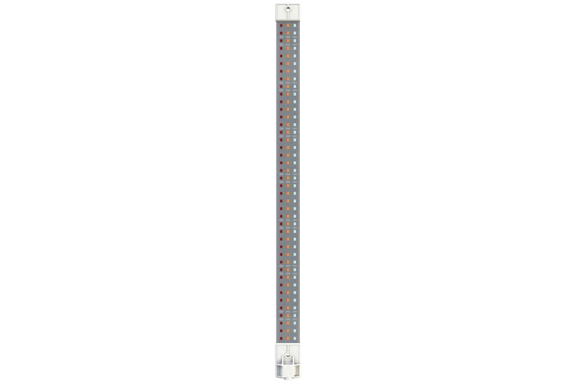 Secret Jardin Cosmorrow LED Blüte, 20W