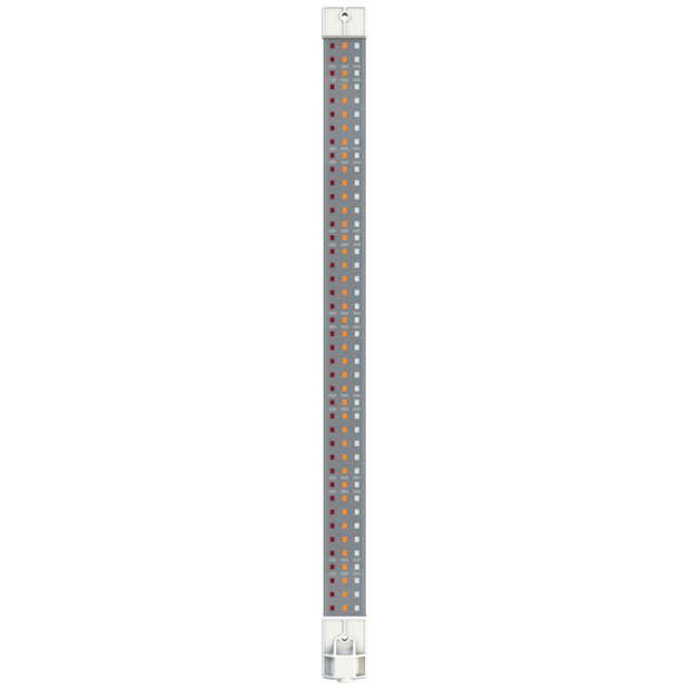 Secret Jardin Cosmorrow LED Blüte, 20W