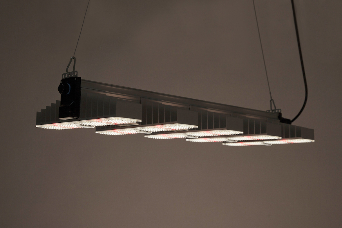 SANlight 1.5 Vollspektrum LED