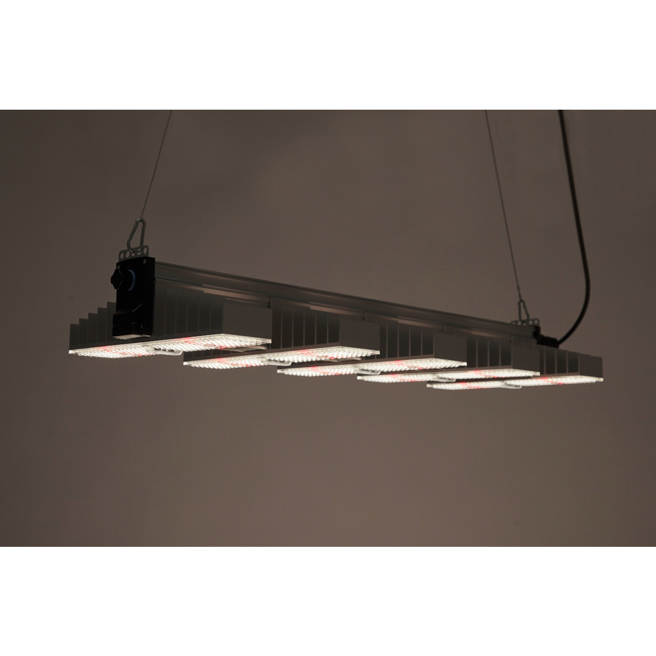 SANlight 1.5 Vollspektrum LED