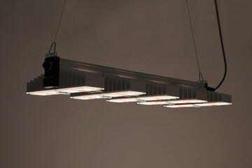 SANlight EVO LED 5-100 320W Vollspektrum
