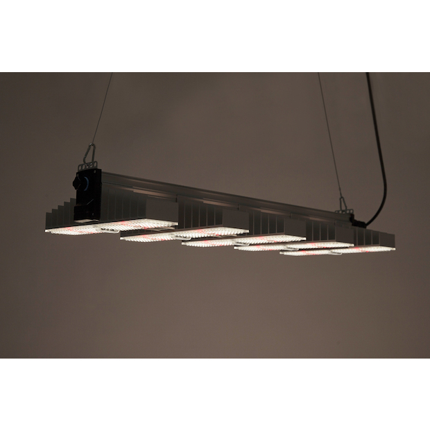SANlight 1.5 Vollspektrum LED
