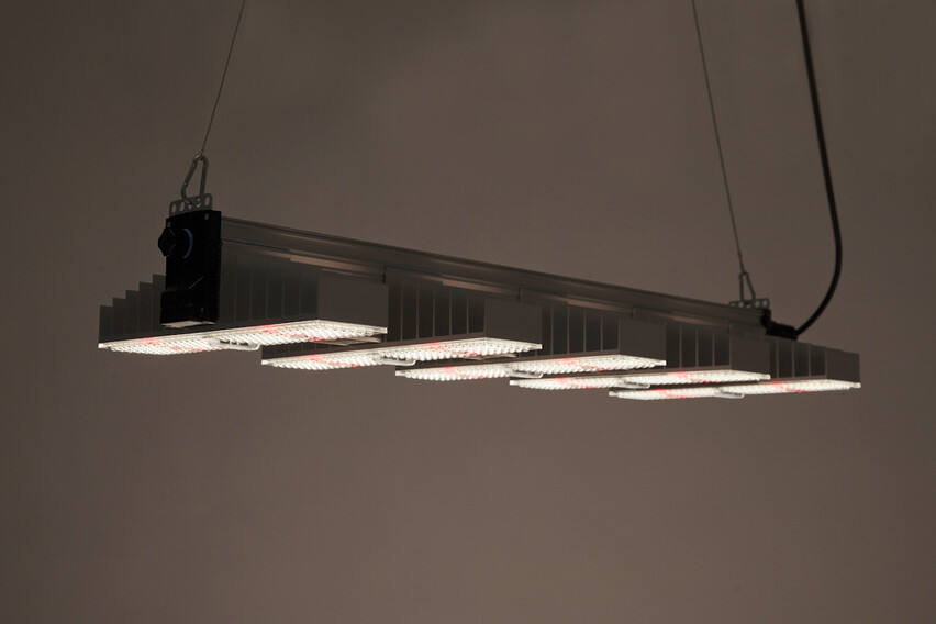 SANlight EVO 5-100 320W Vollspektrum