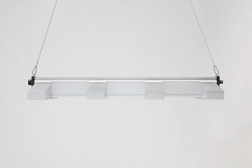 SANlight EVO 4-100 250W Vollspektrum