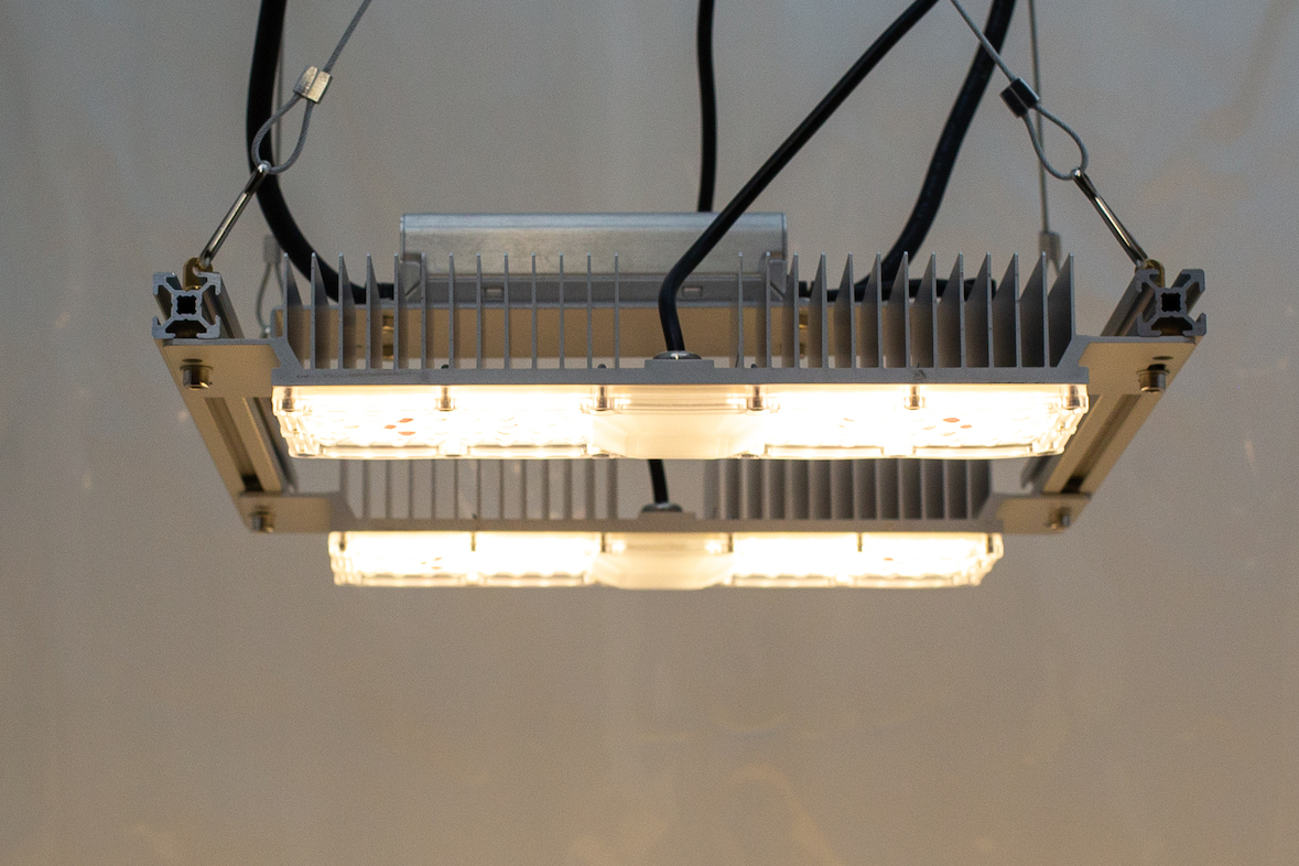 Monster M2 LED-Grow-Lampe (V3.5, dimmbar)