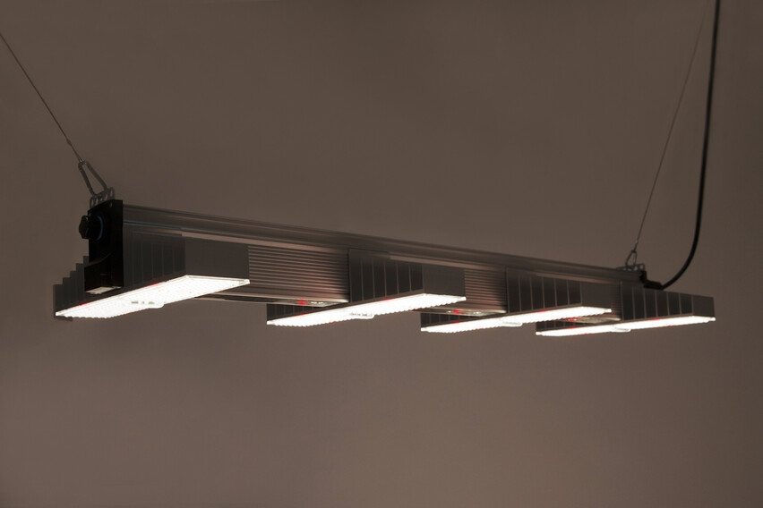 SANlight EVO 4-120 250W Vollspektrum