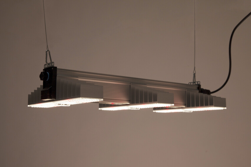 SANlight EVO 3-80 190W Vollspektrum