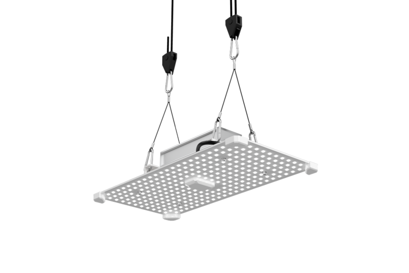 LUMii Black Blade