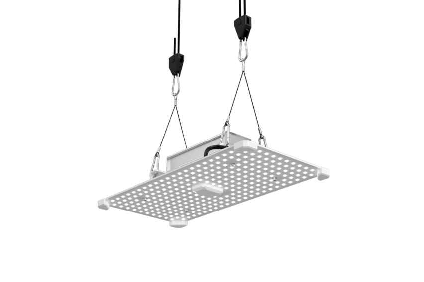 LUMii Black Wachstum LED-Pflanzenlampe - 100W