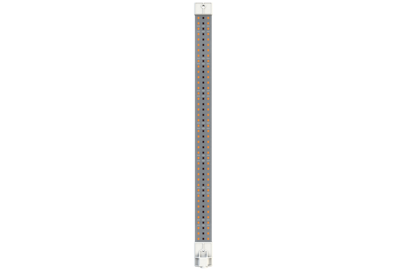 Secret Jardin Cosmorrow LED Infrarot, 20W