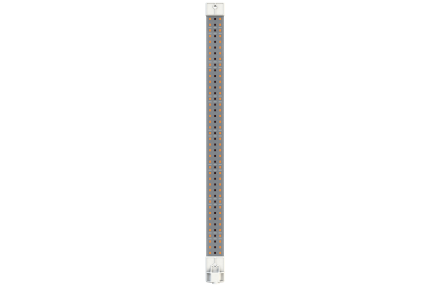Secret Jardin Cosmorrow LED Infrarot, 20W