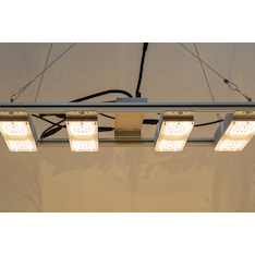 Monster M4 LED-Grow-Lampe (v3.5, dimmbar)