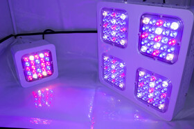 Bild von LED Grow Panel für Pflanzen