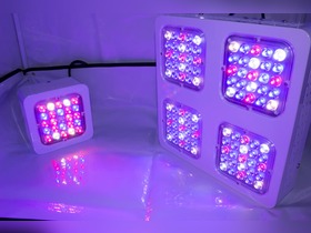 Bild von LED Grow Panel für Pflanzen