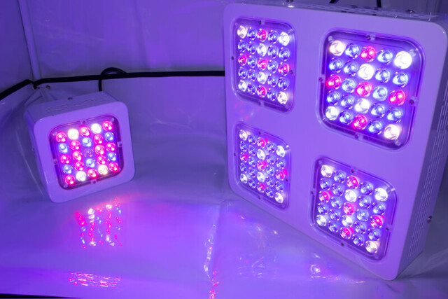 Bild von LED Grow Panel Pflanzen 💡 Pflanzenlicht für Pflanz