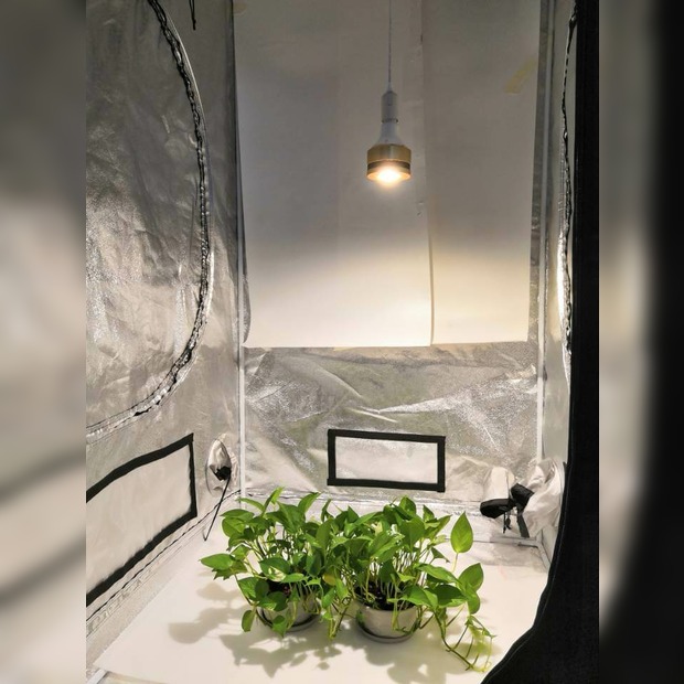 Sunny E27 Grow LED-Pflanzenlicht