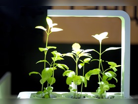 Bild von Natriumdampflampe [NDL] vs. LED im Vergleich 2022