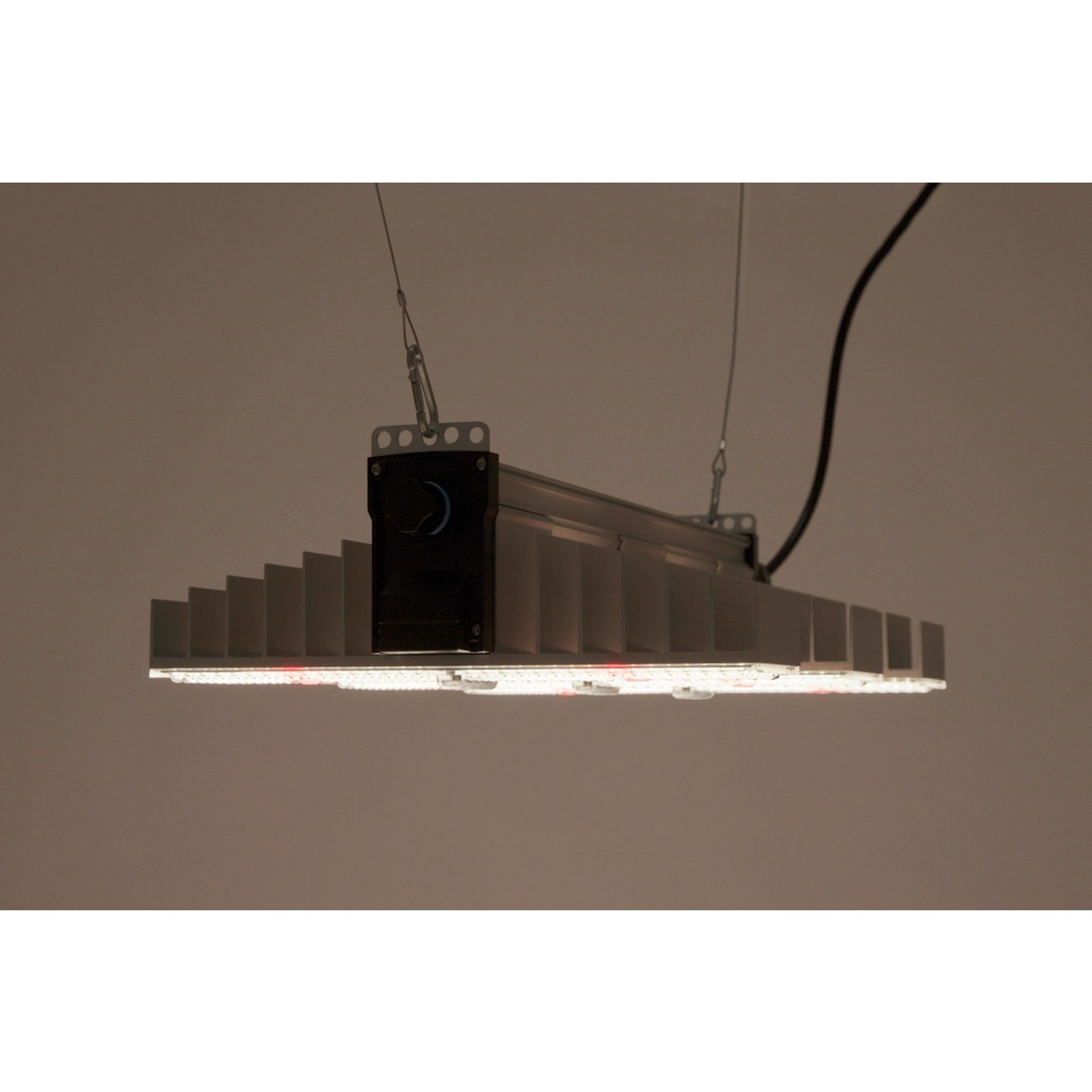 SANlight 1.5 Vollspektrum LED