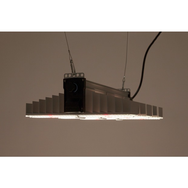 SANlight 1.5 Vollspektrum LED