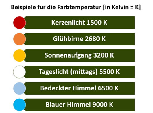 LED vs. Leuchtstoffröhre: Ein Vergleich