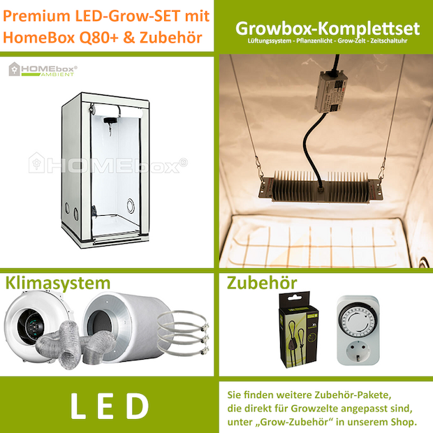 LED-Grow-Set Q80+ mit Lüftung & Lampe nach Wahl