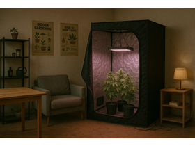 Bild von LED Effizienz bei Pflanzenlampen