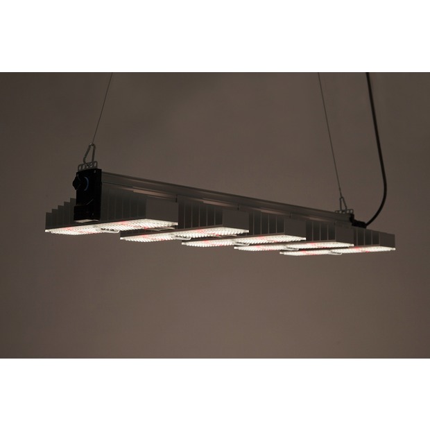 SANlight 1.5 Vollspektrum LED