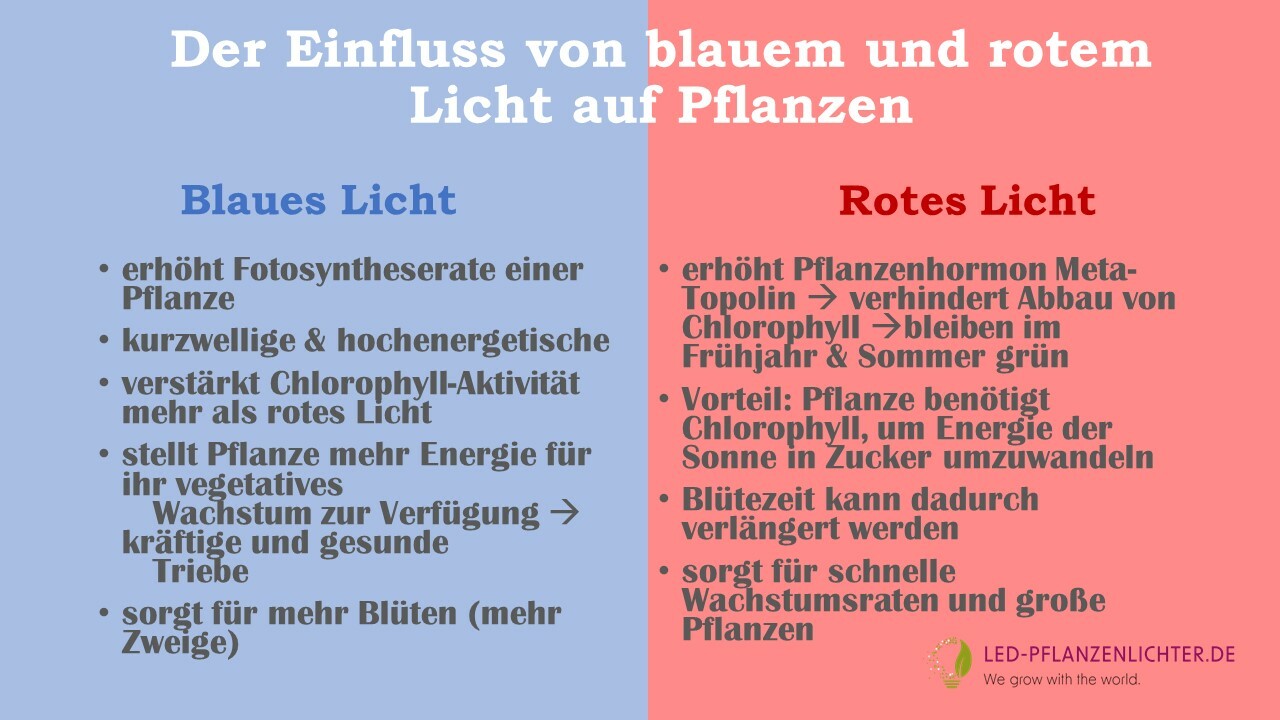 Details about   LED Pflanzenleuchte Wachstumslampe Vollspektrum Grow Pflanzenlicht Pflanzenlampe 