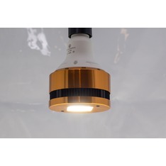 Sunny E27 Grow LED-Pflanzenlicht