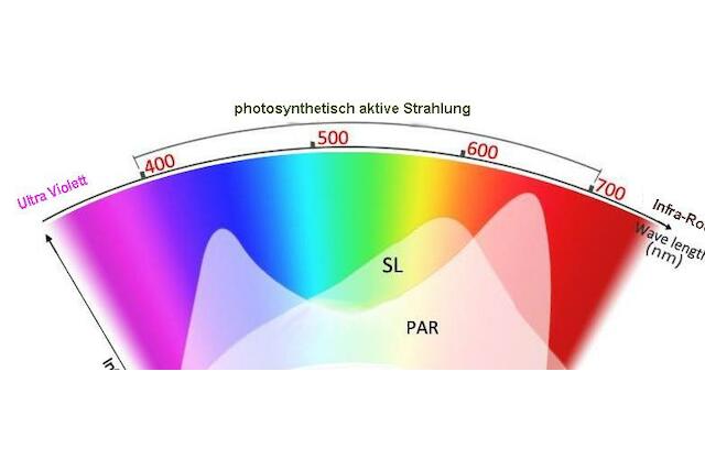 Blaues und Rotes Licht in der Photosynthese