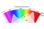 Bild von PAR, PPF & PPFD-Wert ☀️ LED-Licht für Pflanzen kur