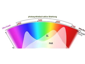 Bild von PAR, PPF & PPFD-Wert – LED für Pflanzen erklärt