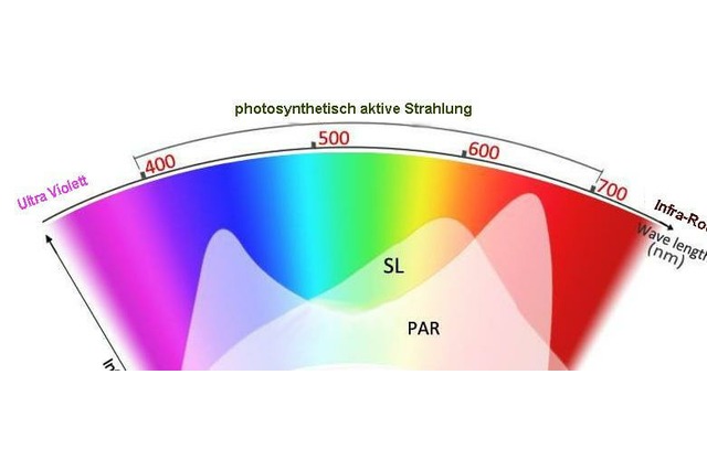 Bild von PAR, PPF & PPFD-Wert ☀️ LED-Licht für Pflanzen kur