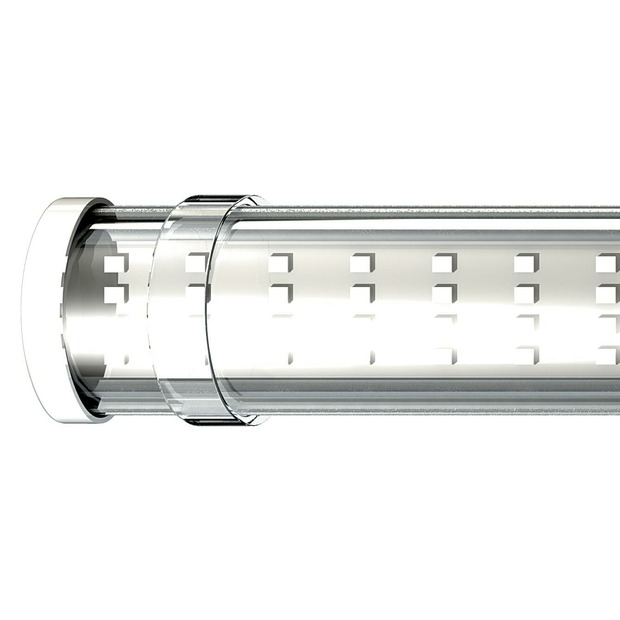 Secret Jardin TLED Wachstum / Wuchs