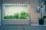 Bild von Mini Indoor Gewächshaus ☀️ Green You & Green Unit 