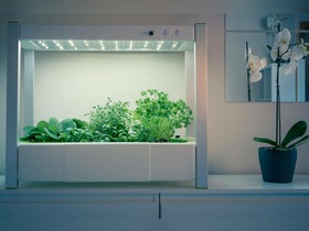 Bild von Mini Indoor Gewächshaus