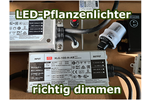 Bild von LED-Lampen dimmen ☀️ Dimmbares Licht [Vorteile & T