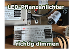 Bild von LED-Lampen dimmen ☀️ Dimmbares Licht [Vorteile & T