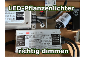 Bild von LED-Lampen: Dimmbares Licht & Beleuchtung