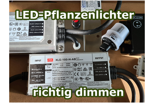 Bild von LED-Lampen dimmen ☀️ Dimmbares Licht [Vorteile & T