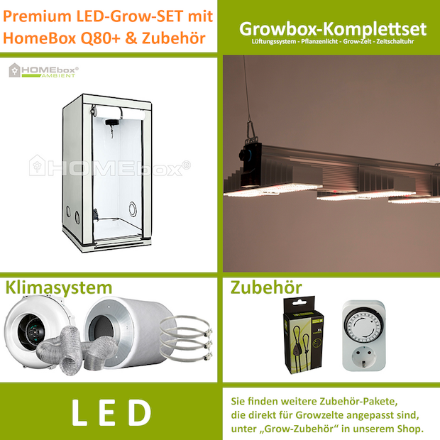 LED-Grow-Set Q80+ mit Lüftung & Lampe nach Wahl
